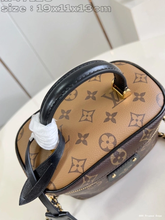 AAA Pruses Bags VANITY LOUIS PM VUITTON 0802
